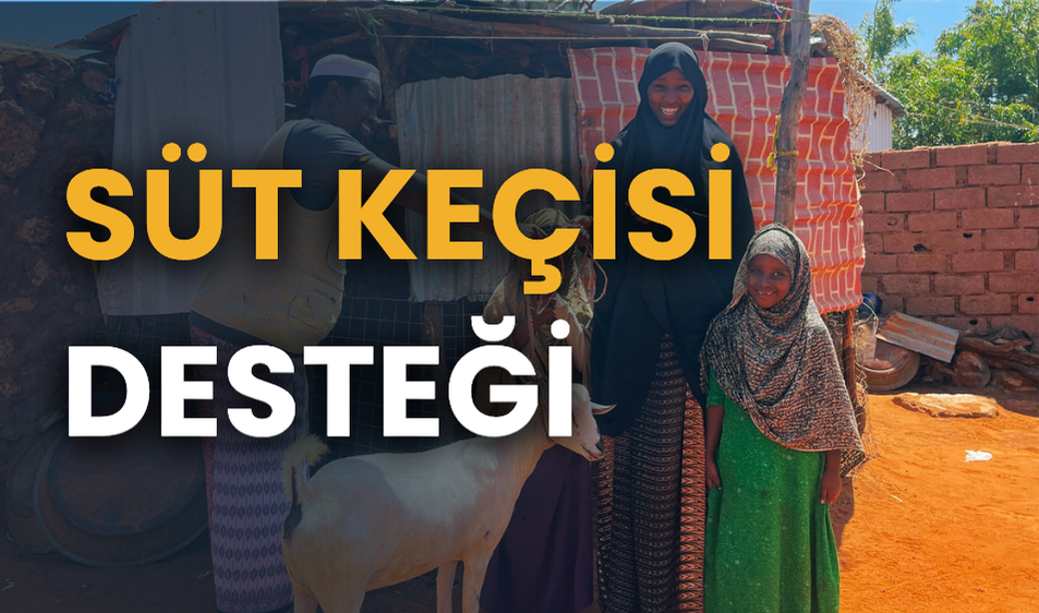 Süt Keçisi