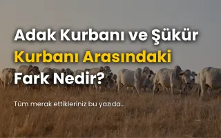 Adak Kurbanı ve Şükür Kurbanı Arasındaki Fark Nedir?