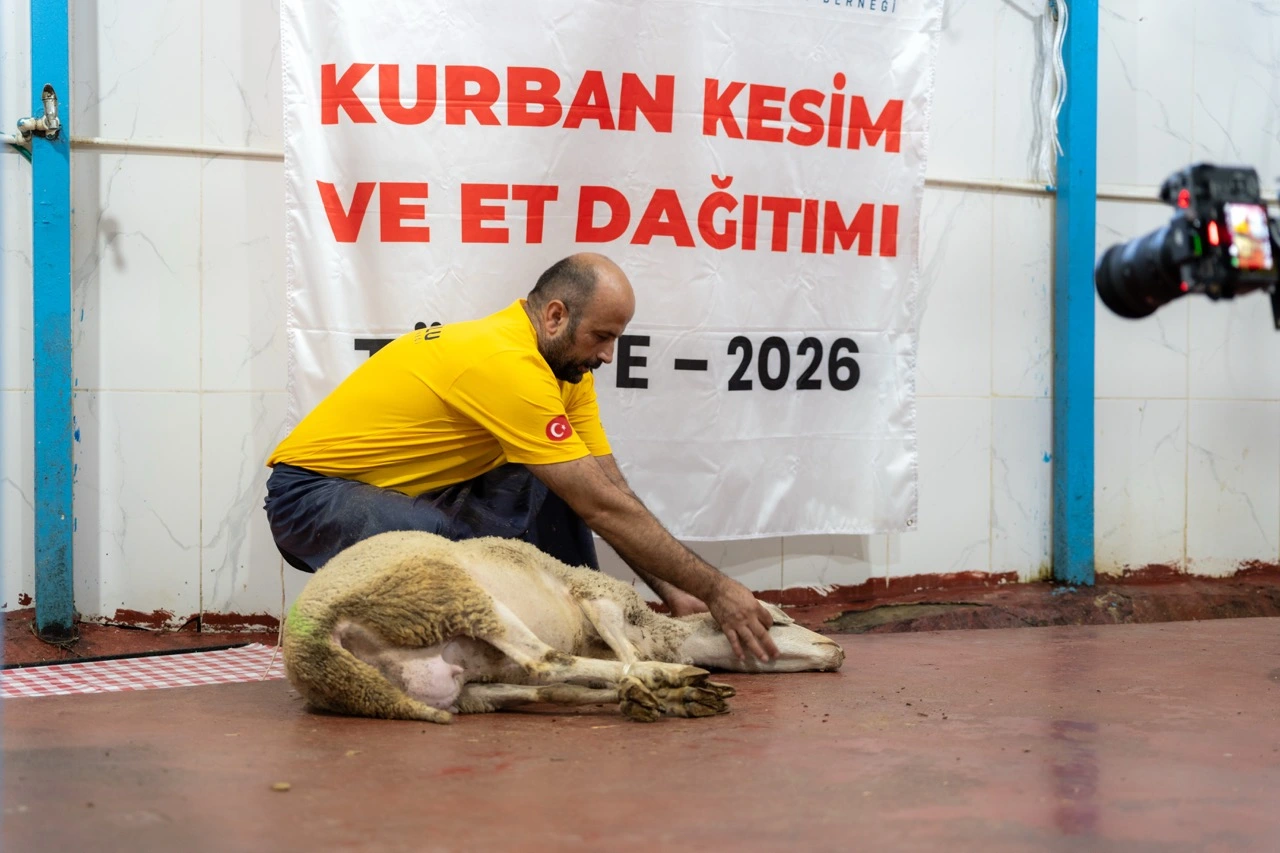 Türkiye kurban kesimi ve et dağıtımı - saha çalışması 2